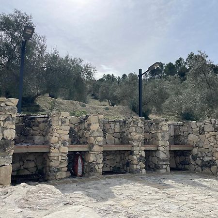 Vina Zarzarrosa โอซูนา ภายนอก รูปภาพ