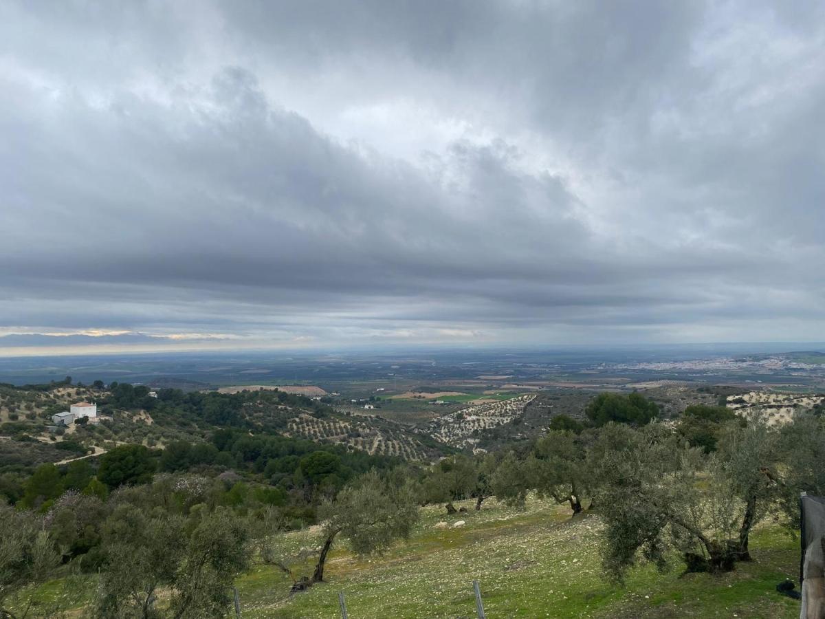 Vina Zarzarrosa โอซูนา ภายนอก รูปภาพ