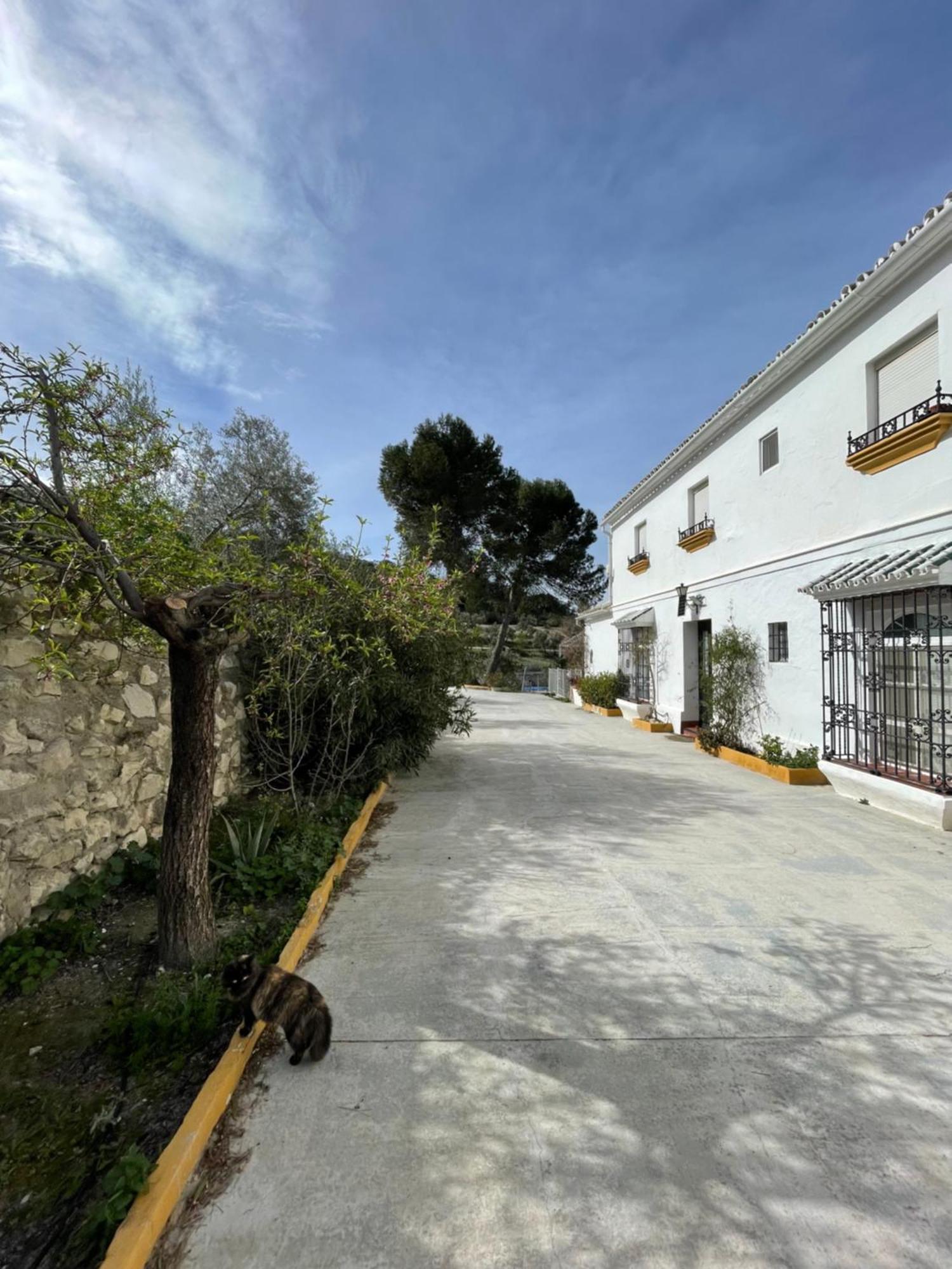Vina Zarzarrosa โอซูนา ภายนอก รูปภาพ
